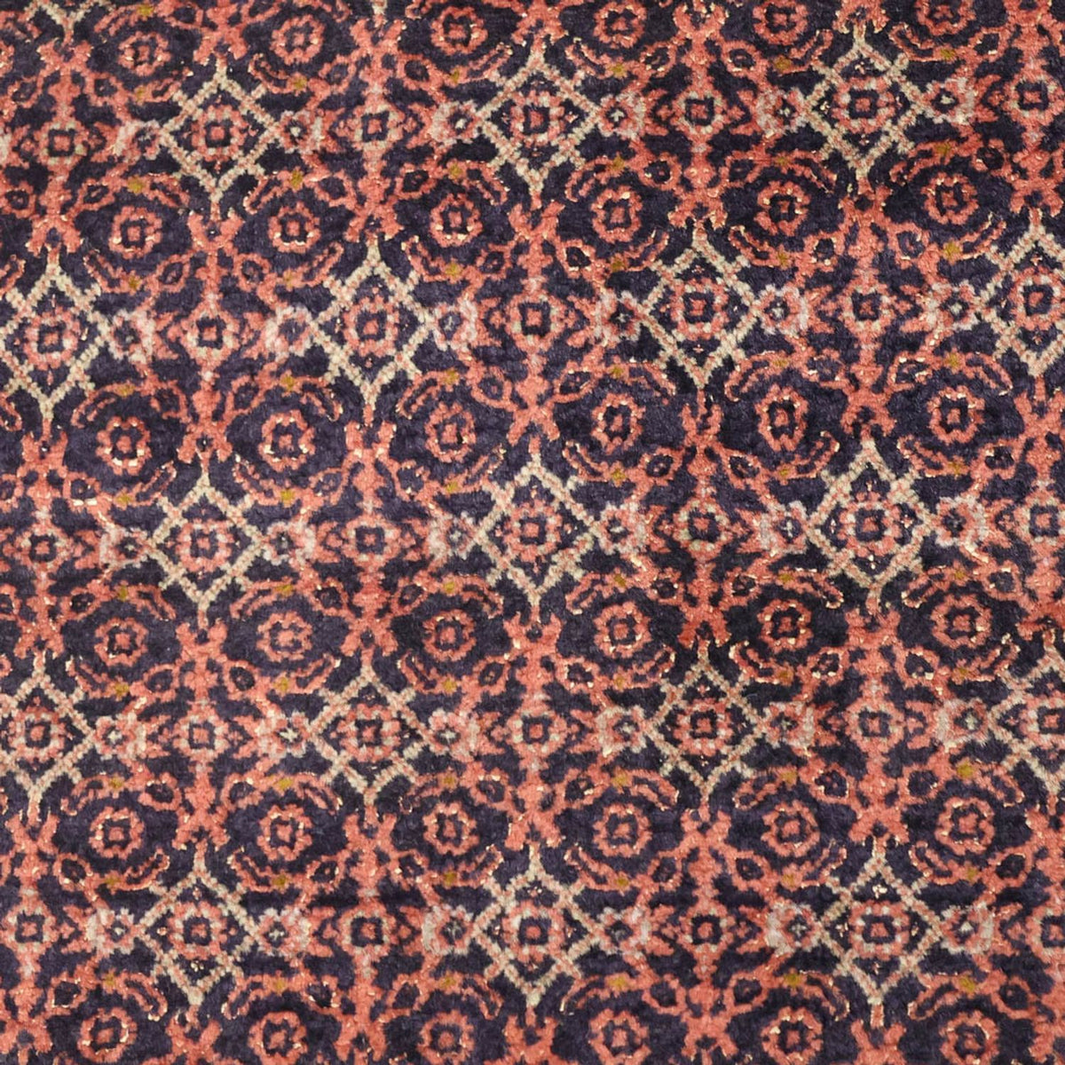 Perserteppich - Bidjar - 143 x 85 cm - rost