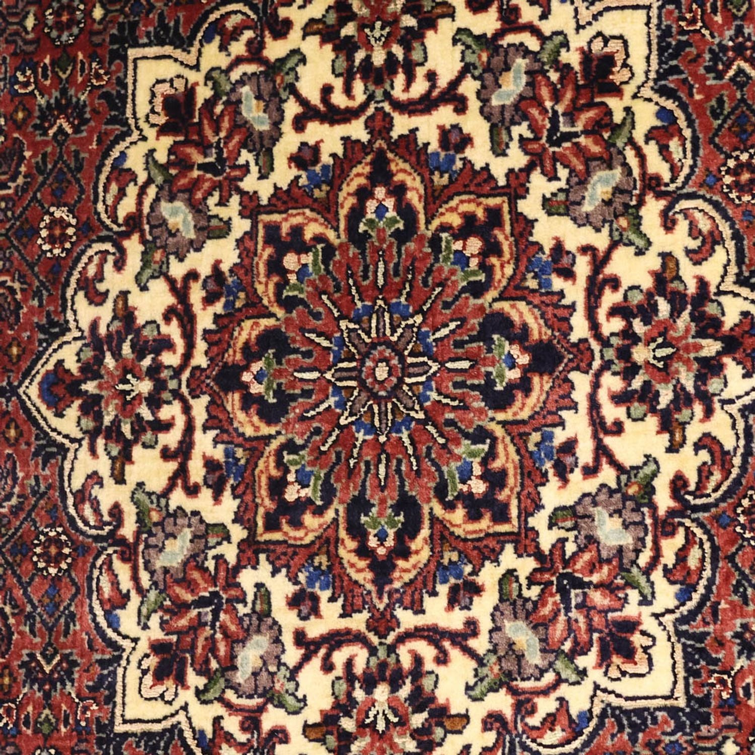 Perserteppich - Bidjar - 155 x 89 cm - rost