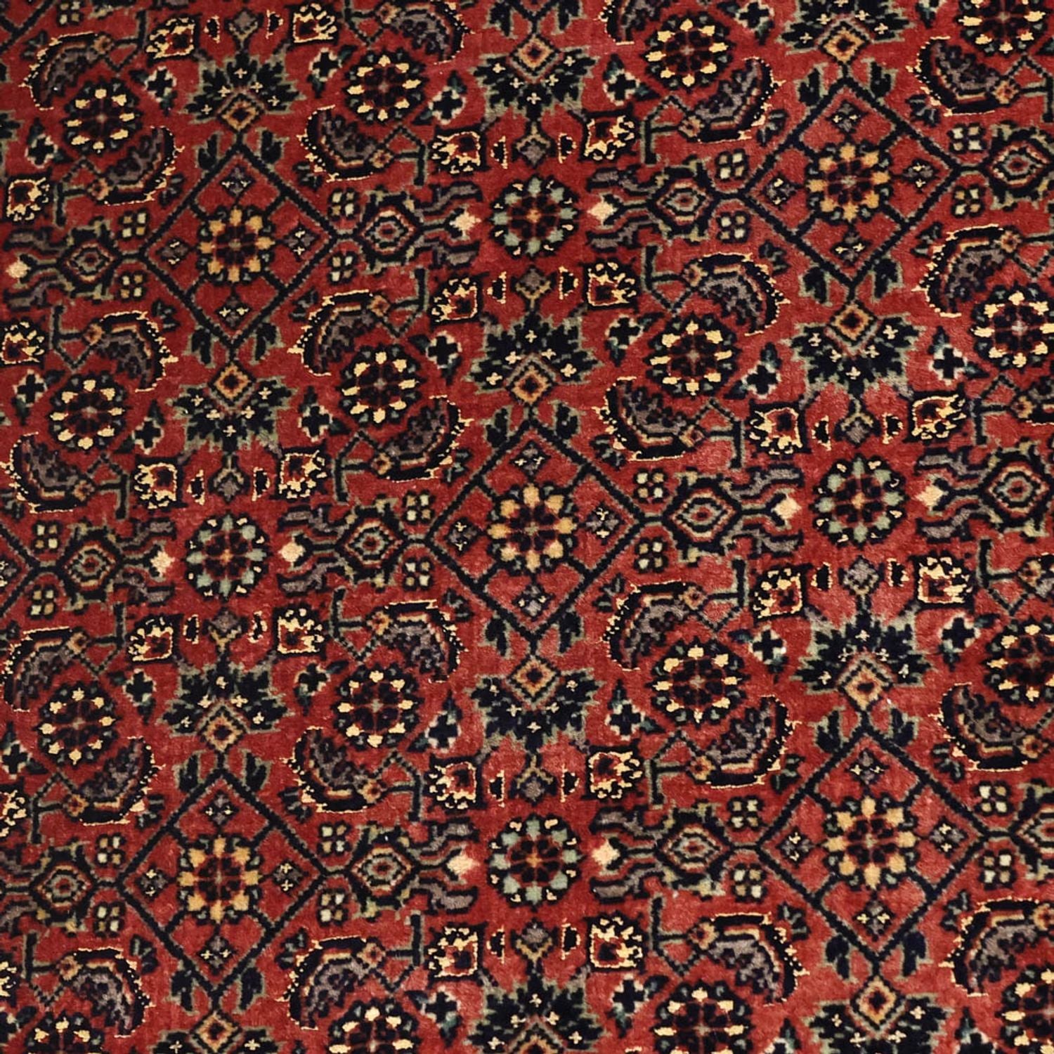 Perserteppich - Bidjar - Royal - 148 x 89 cm - rost