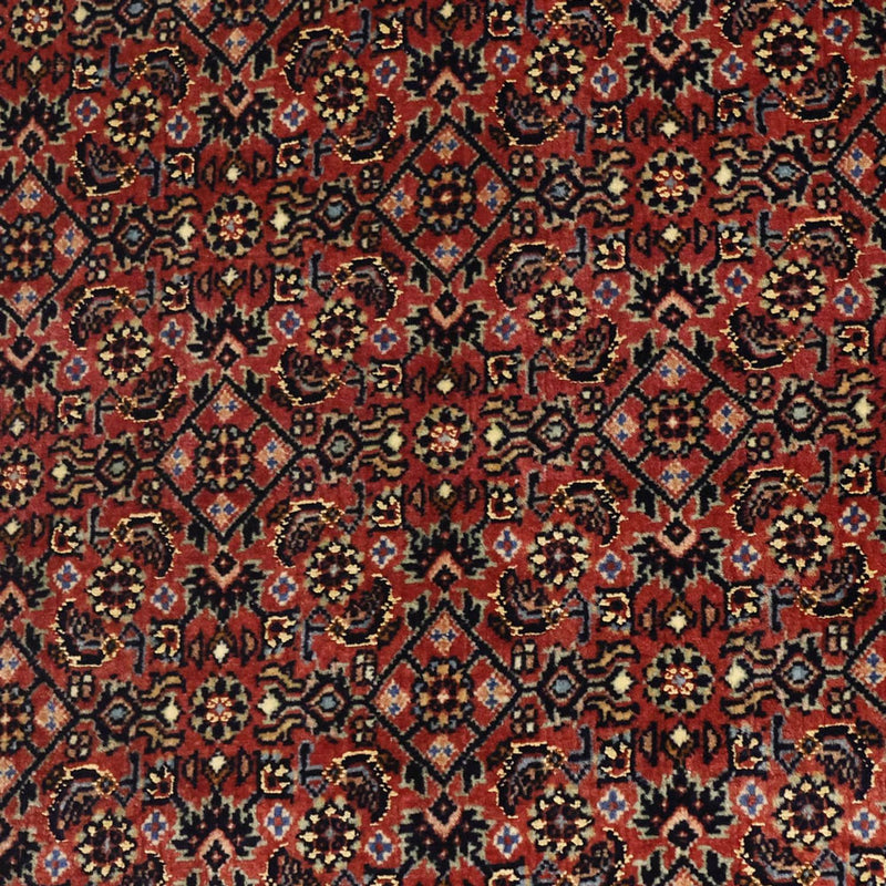 Perserteppich - Bidjar - Royal - 148 x 91 cm - dunkelbeige