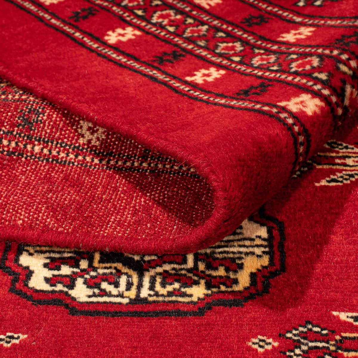 Pakistan Teppich 320 x 248 cm