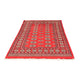 Pakistan Teppich 118x183cm - Orientteppich
