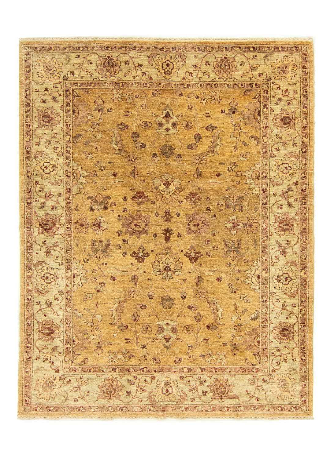 Ziegler Teppich - Ariana 245 x 176 cm - beige