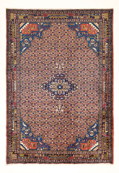 Kolyai Teppich 205x290cm - Perserteppich