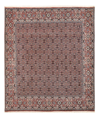 Perserteppich - Bidjar - 243 x 206 cm - rost