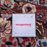 Perserteppich - Bidjar rund  - 250 x 250 cm - rost