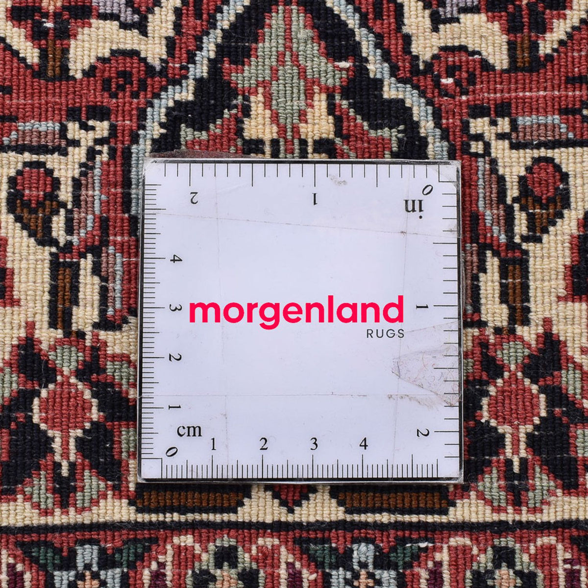 Perserteppich - Bidjar - 250 x 204 cm - rost