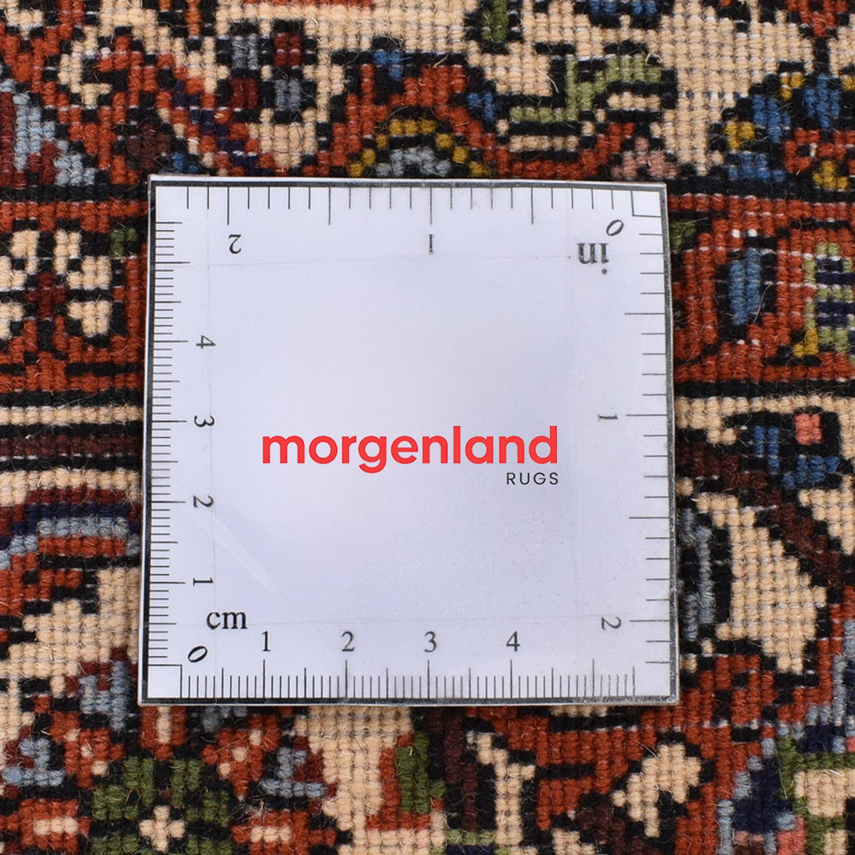 Perserteppich - Bidjar - 163 x 110 cm - rost