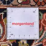 Perserteppich - Bidjar - 248 x 179 cm - beige