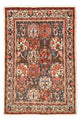Bachtiar Teppich 196x130cm - Perserteppich