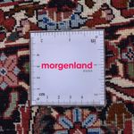 Perserteppich - Bidjar rund  - 300 x 300 cm - hellrot