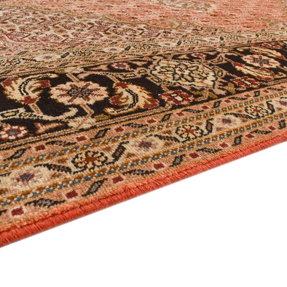 Täbriz - 40 Raj Teppich 245x253cm - Perserteppich