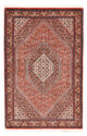 Bidjar Teppich 170x107cm - Perserteppich