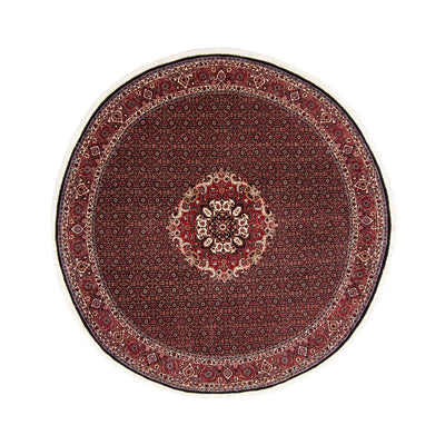 Bidjar Teppich 250x250cm - Perserteppich