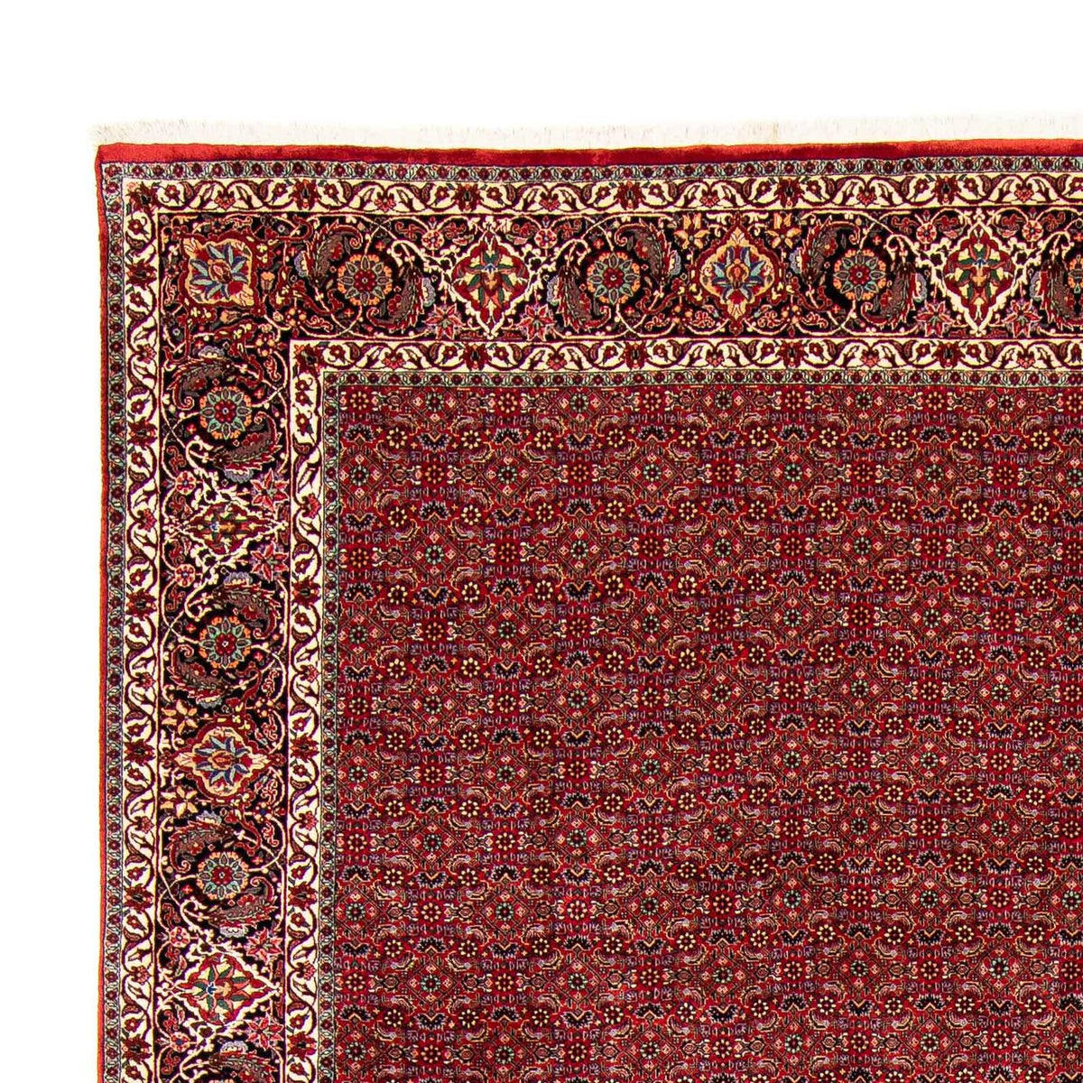 Bidjar Teppich 298x381cm - Perserteppich