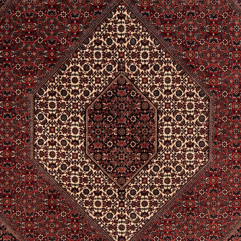 Perserteppich - Bidjar 259 x 200 cm