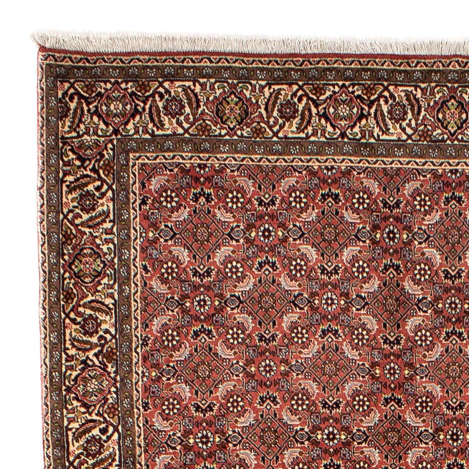Perserteppich - Bidjar 244 x 172 cm