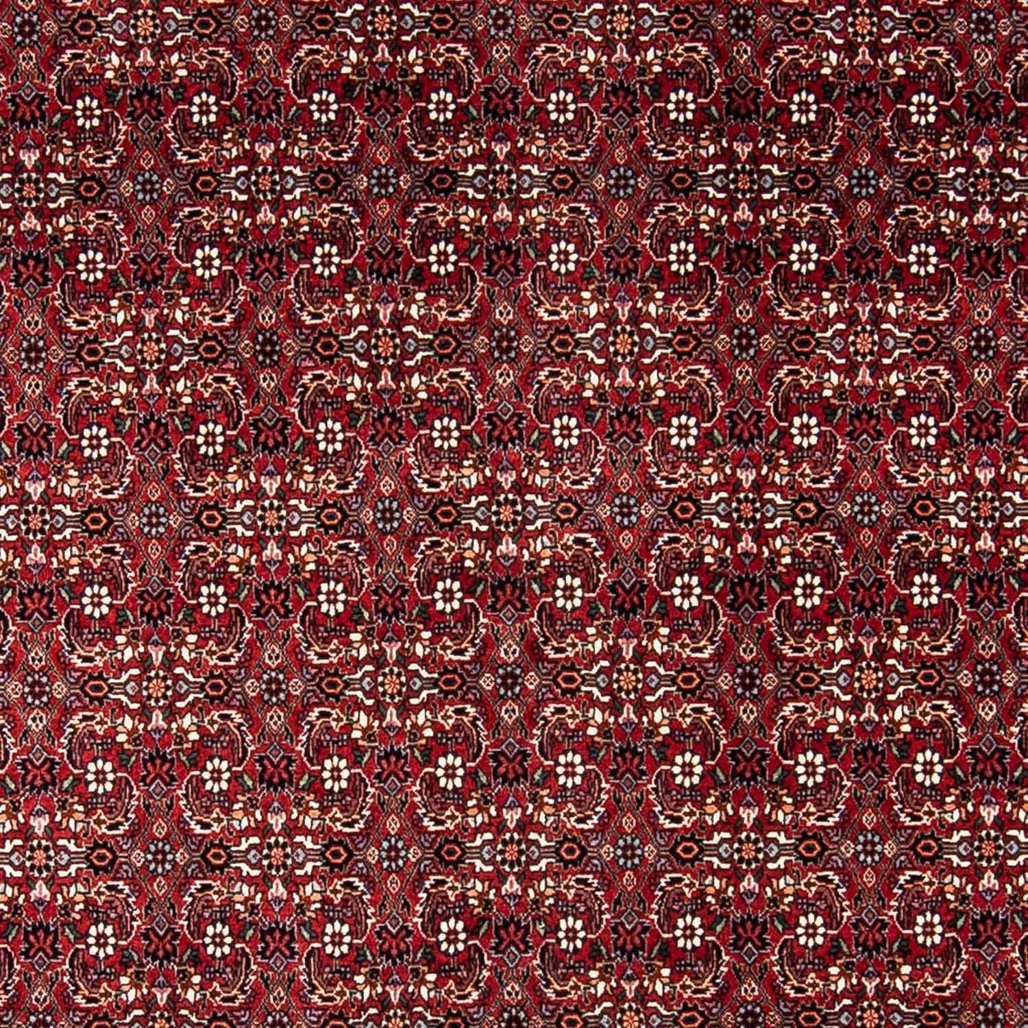 Perserteppich - Bidjar 240 x 168 cm