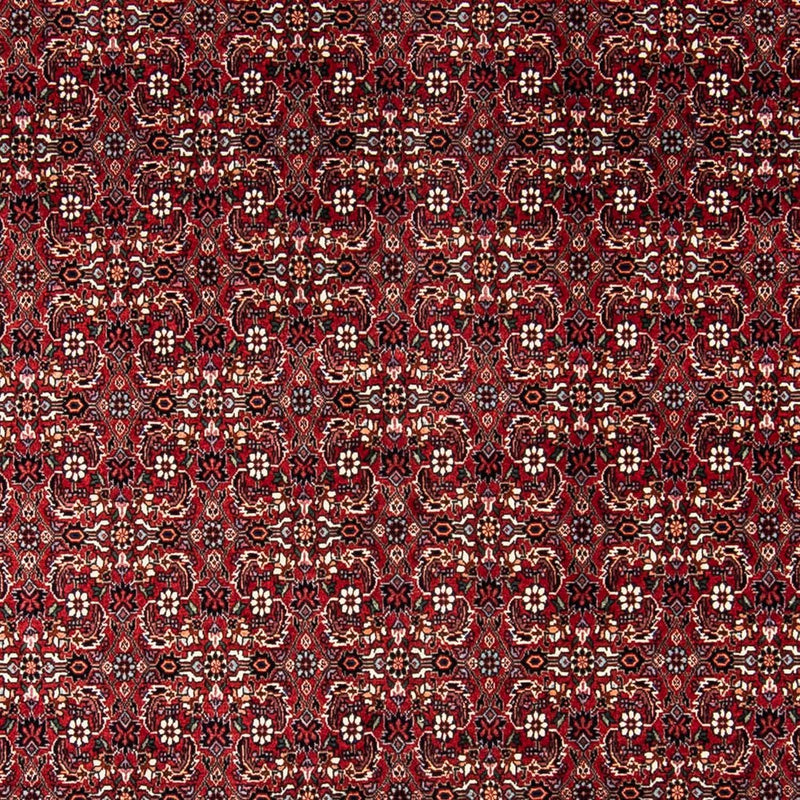 Perserteppich - Bidjar 240 x 168 cm