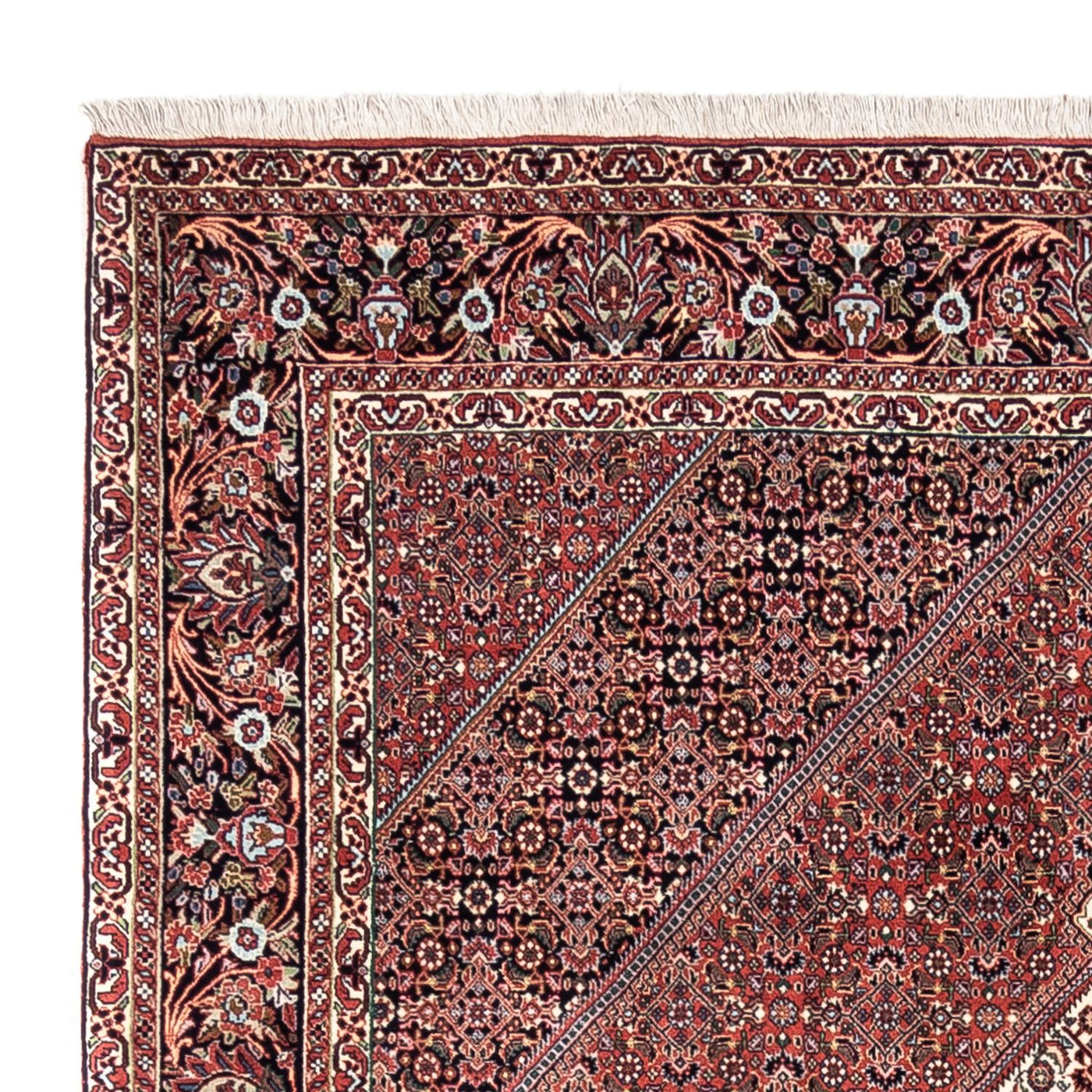 Bidjar - Takab Teppich 295x200cm - Perserteppich