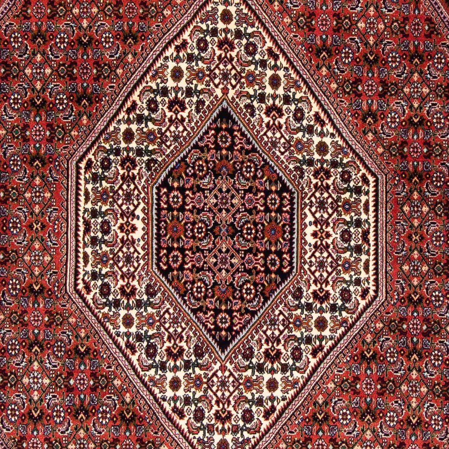 Perserteppich - Bidjar 263 x 168 cm
