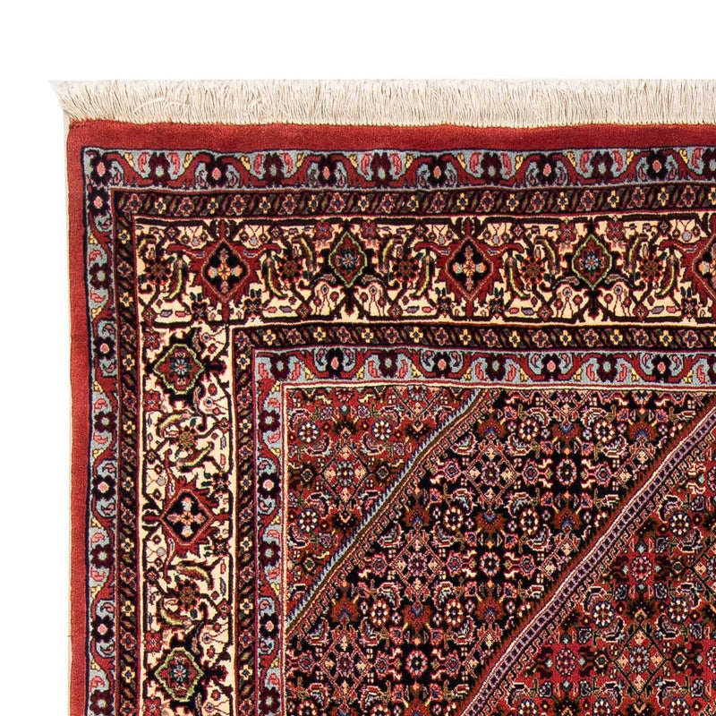 Perserteppich - Bidjar 263 x 168 cm