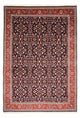Bidjar Teppich 350x243cm - Perserteppich
