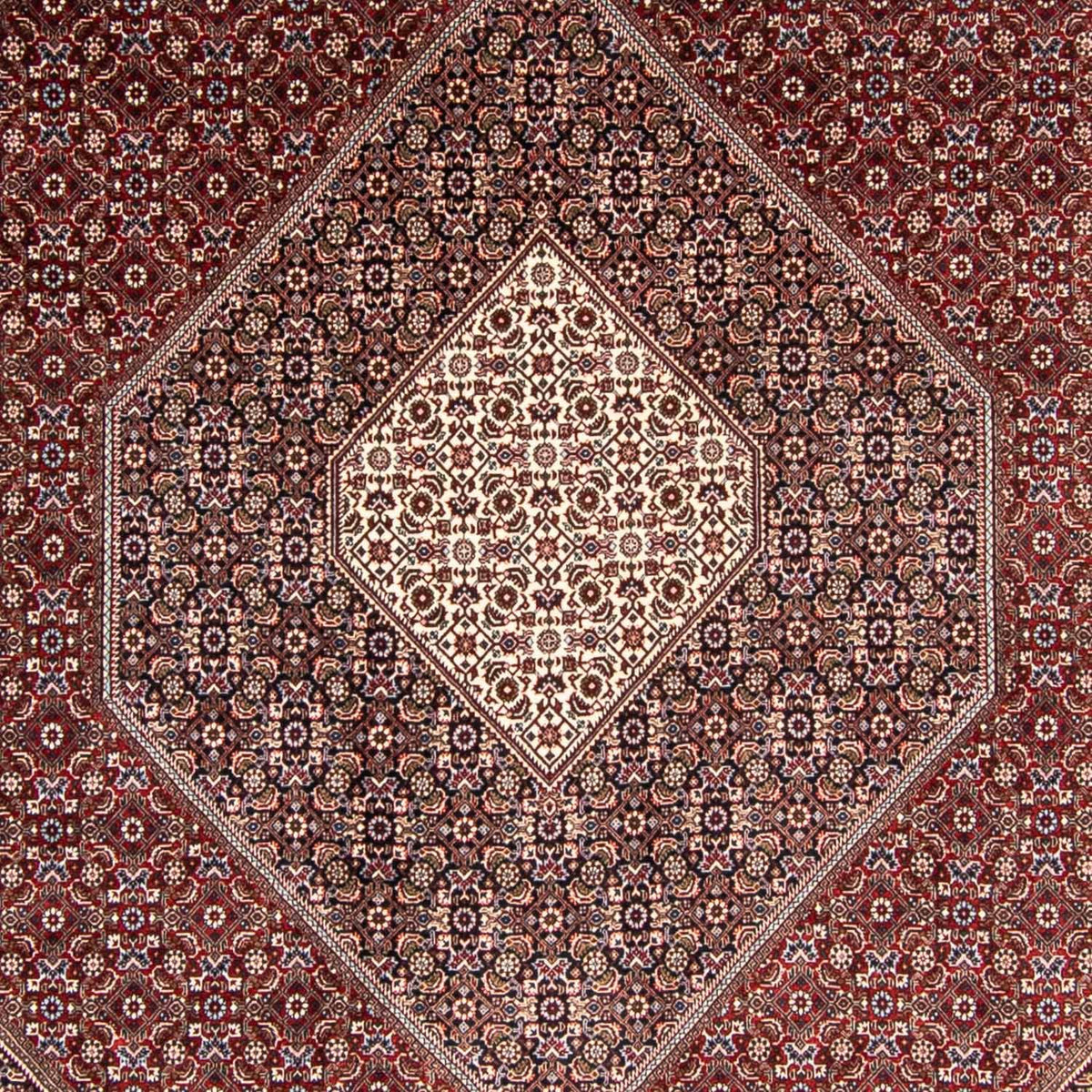 Perserteppich - Bidjar 350 x 251 cm