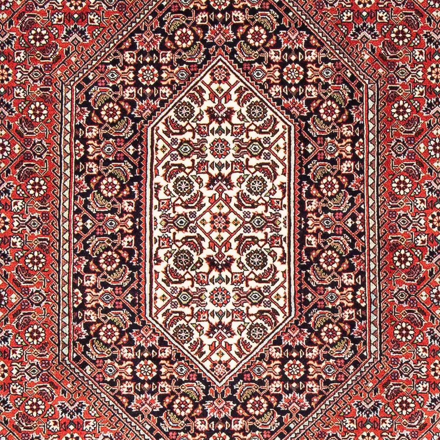 Perserteppich - Bidjar - Royal 181 x 108 cm