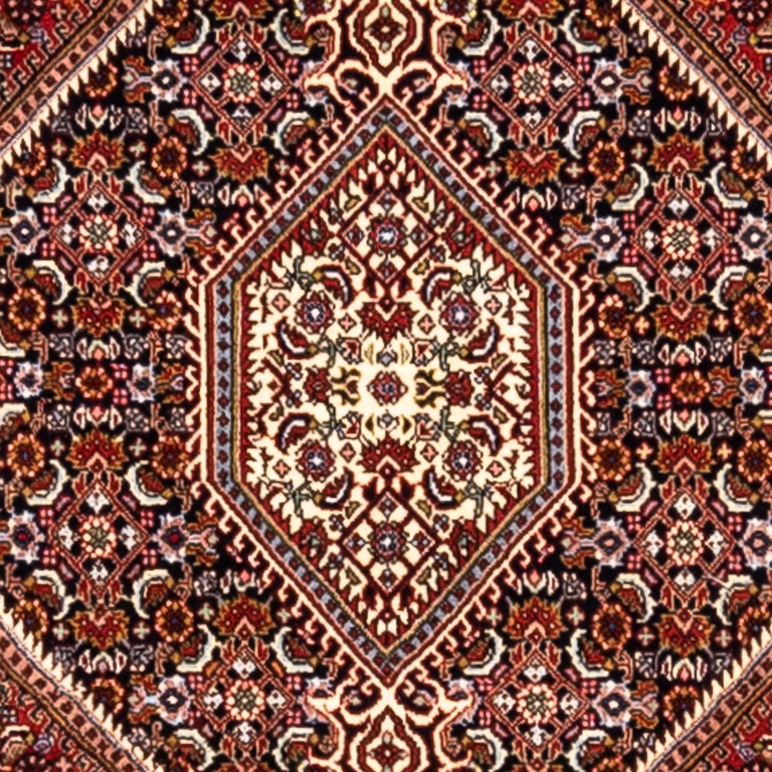 Perserteppich - Bidjar - Royal 280 x 191 cm
