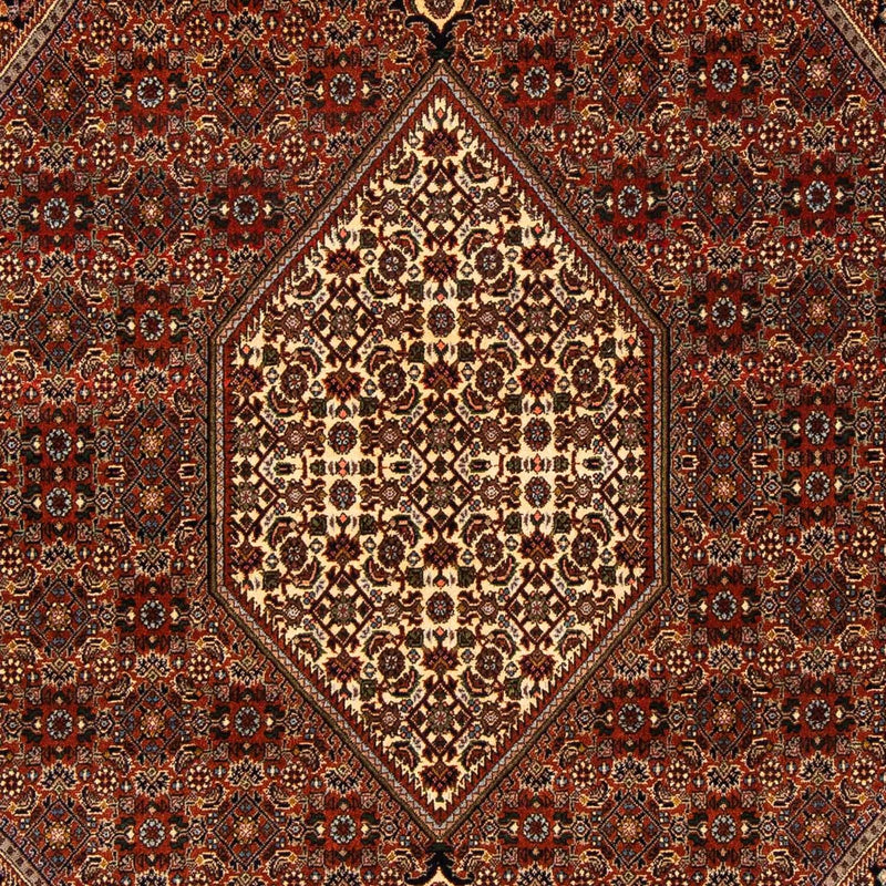 Perserteppich - Bidjar 274 x 171 cm