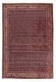 Bidjar Teppich 168x237cm - Perserteppich
