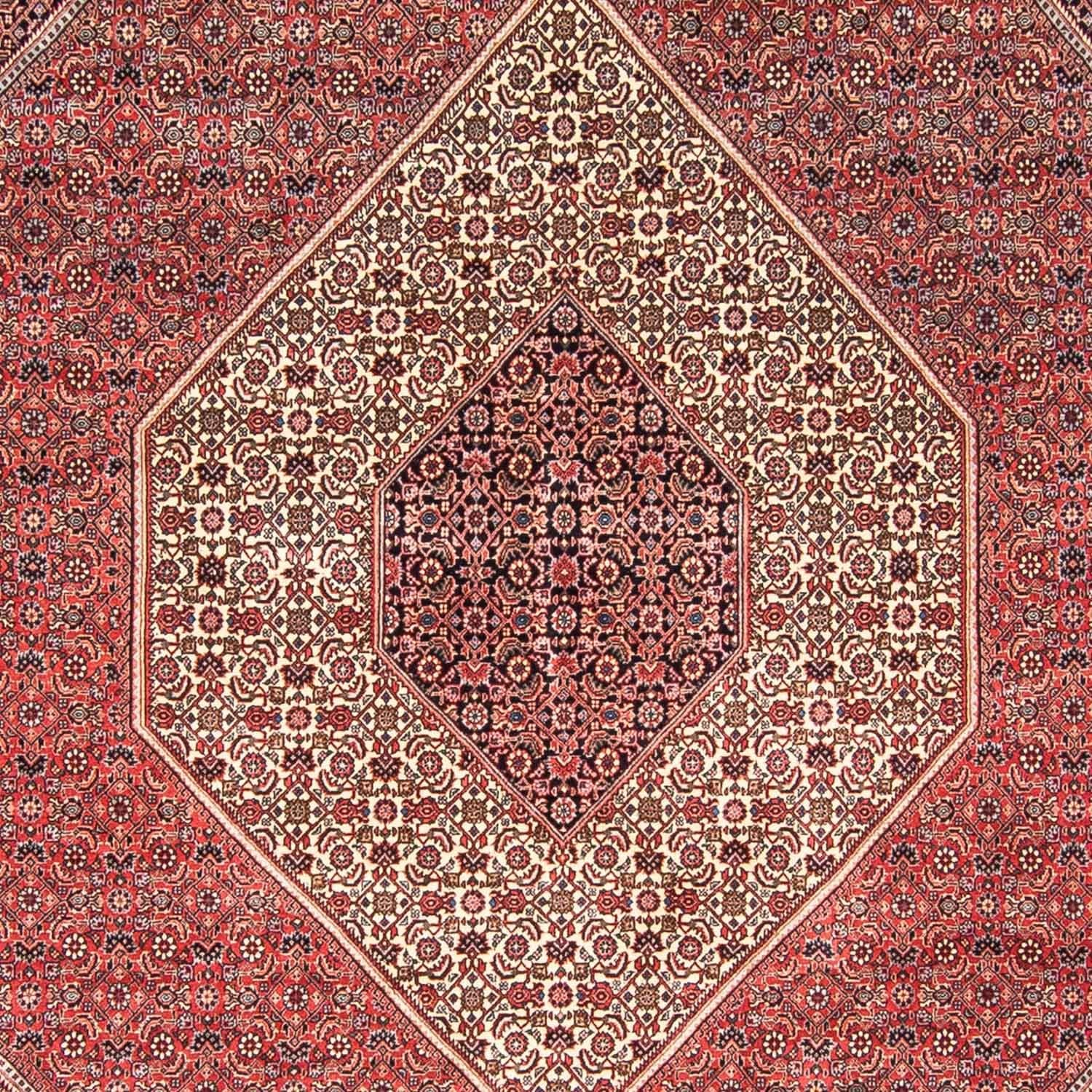 Perserteppich - Bidjar 348 x 252 cm