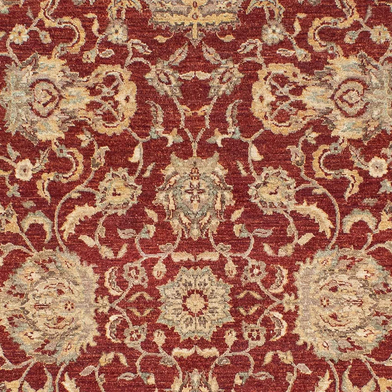 Ziegler Teppich 269 x 177 cm