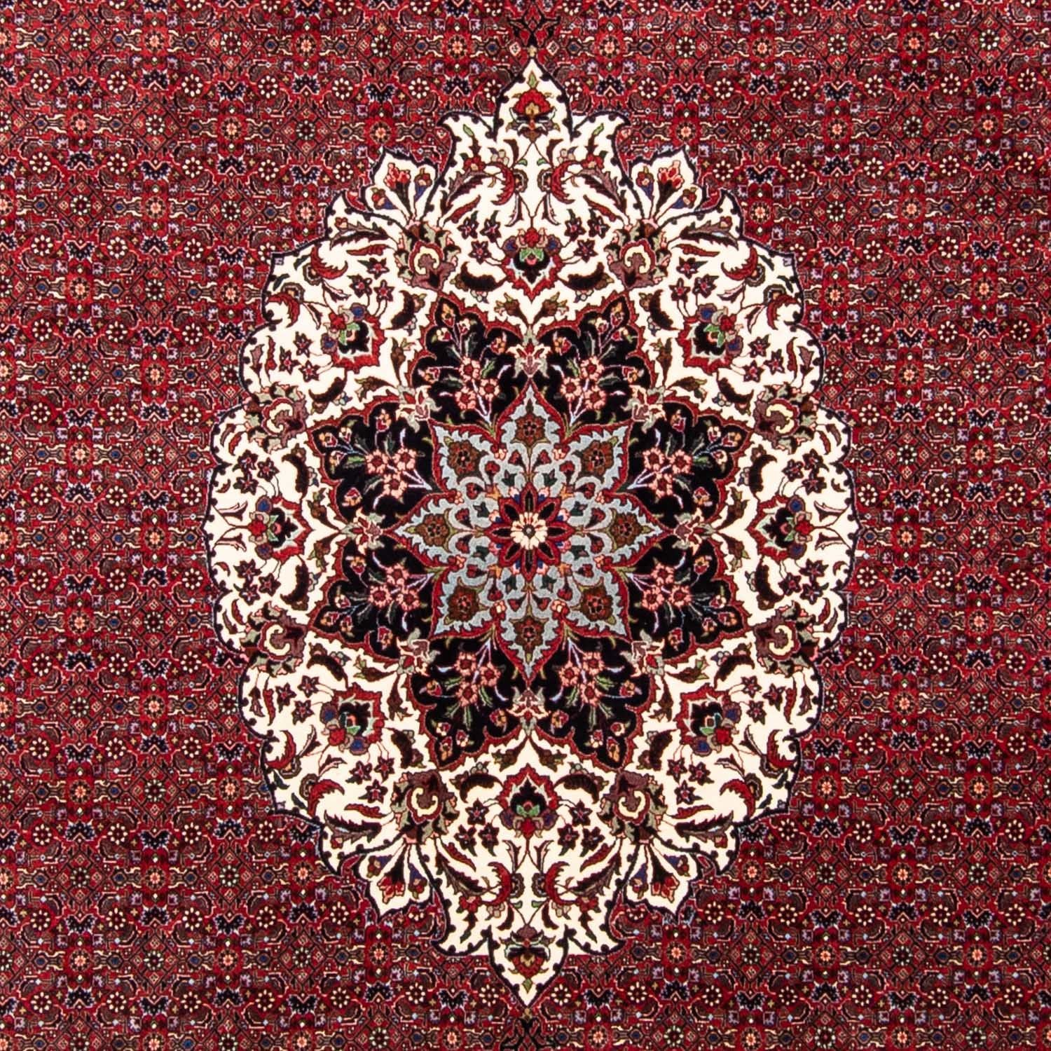 Perserteppich - Bidjar 343 x 260 cm Teppich Wohnzimmer