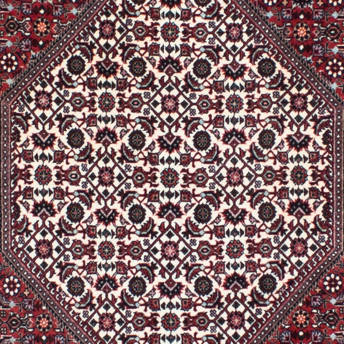 Perserteppich - Bidjar - Royal 295 x 84 cm