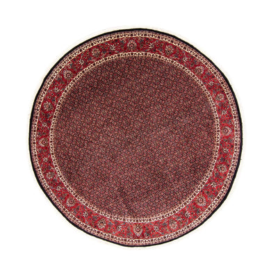 Bidjar Teppich 250x250cm - Perserteppich