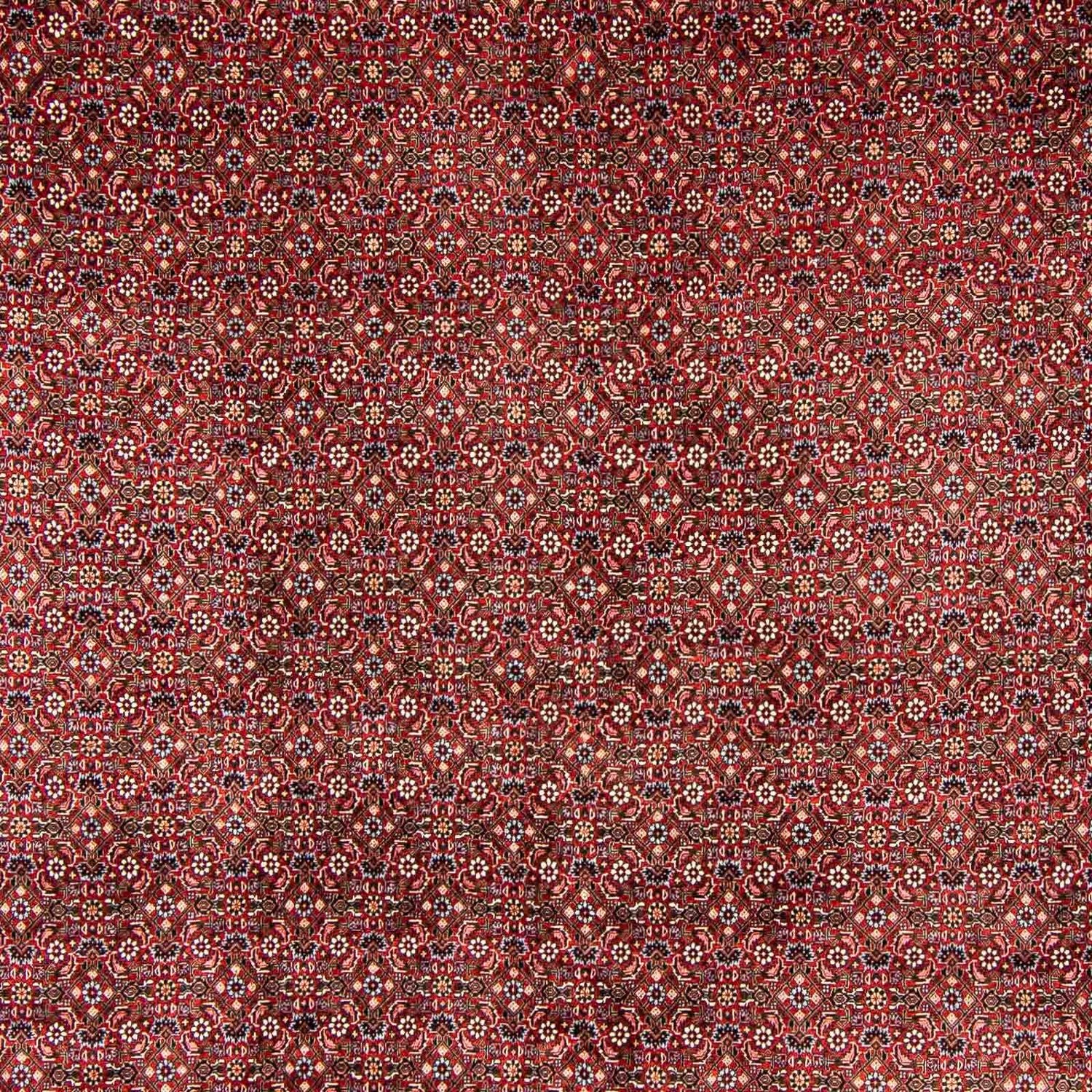 Perserteppich - Bidjar 398 x 299 cm