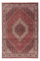 Bidjar Teppich 254x171cm - Perserteppich