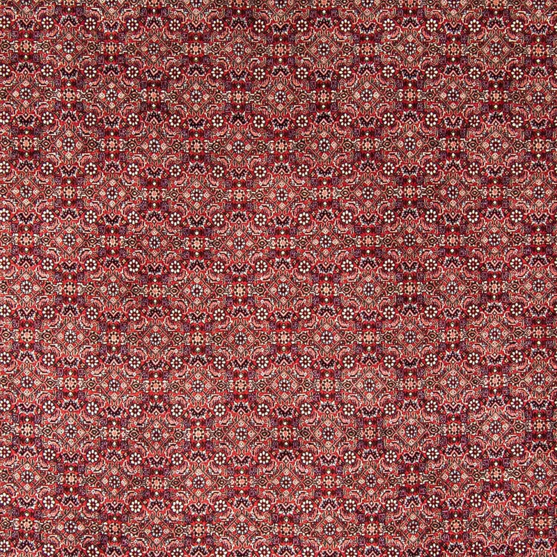 Perserteppich - Bidjar 350 x 246 cm