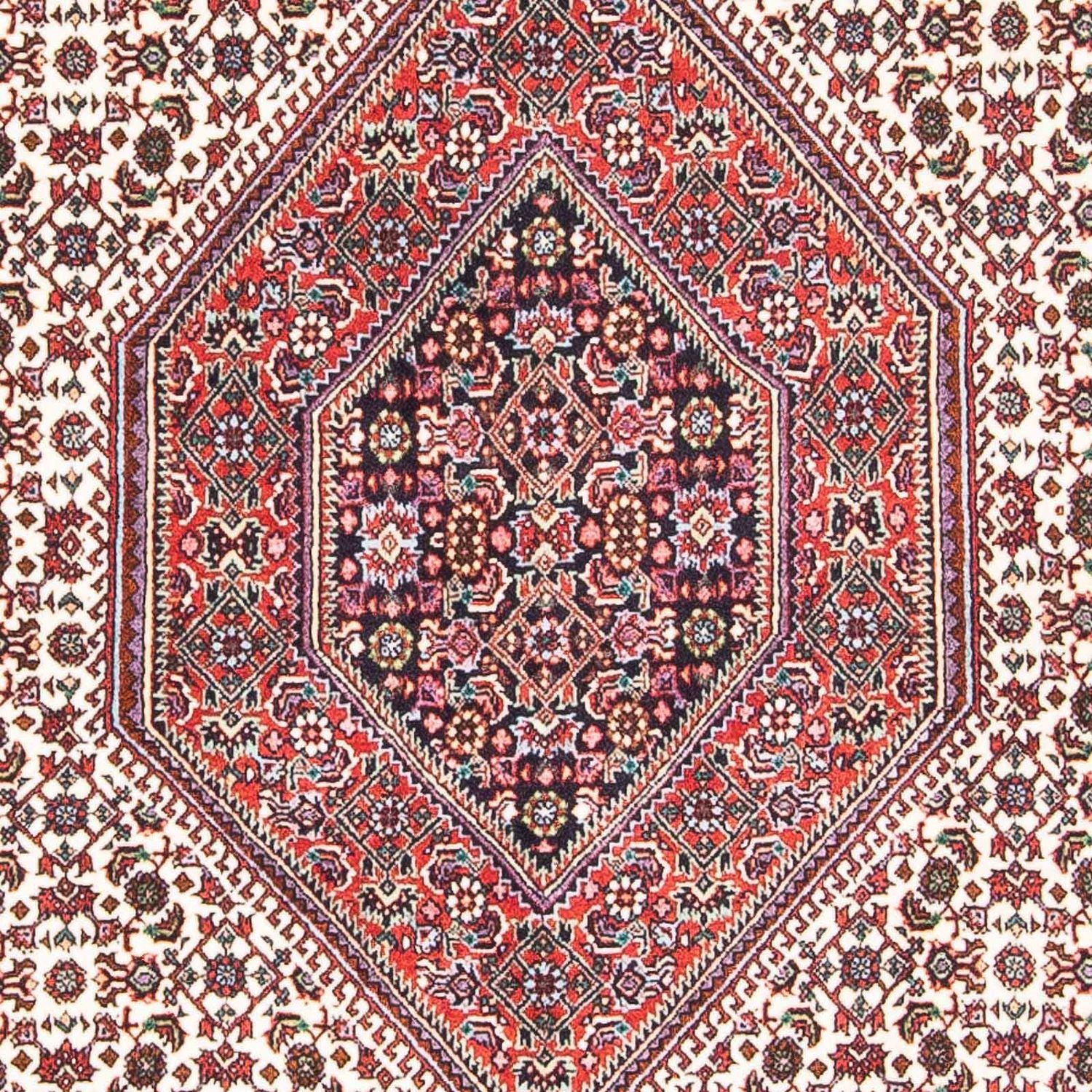 Perserteppich - Bidjar - Royal 173 x 105 cm