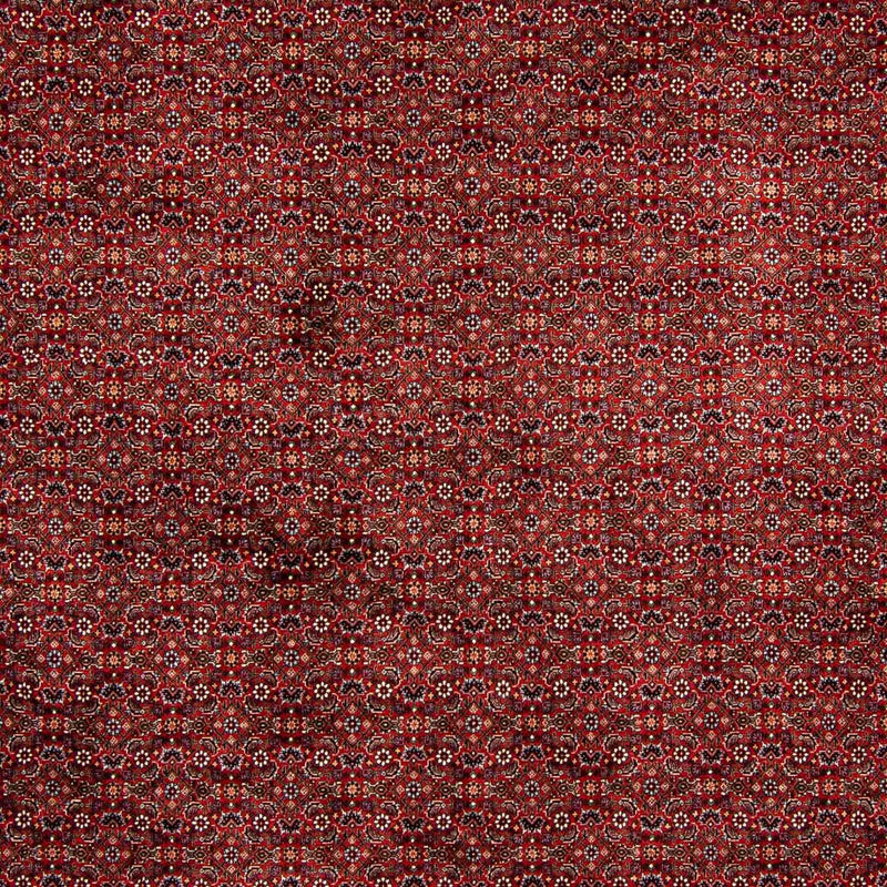 Perserteppich - Bidjar 392 x 299 cm