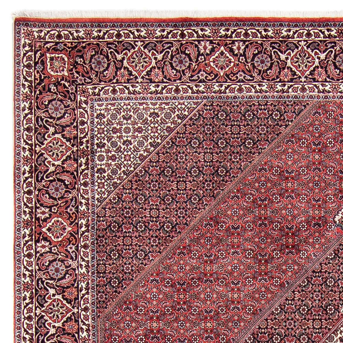Bidjar Teppich 253x302cm - Perserteppich