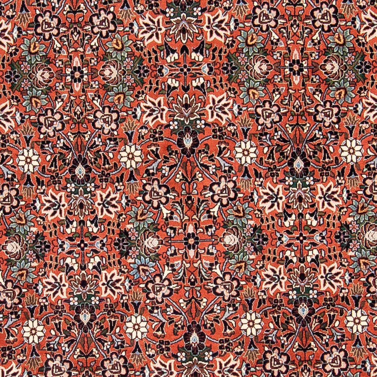 Perserteppich - Bidjar 240 x 150 cm