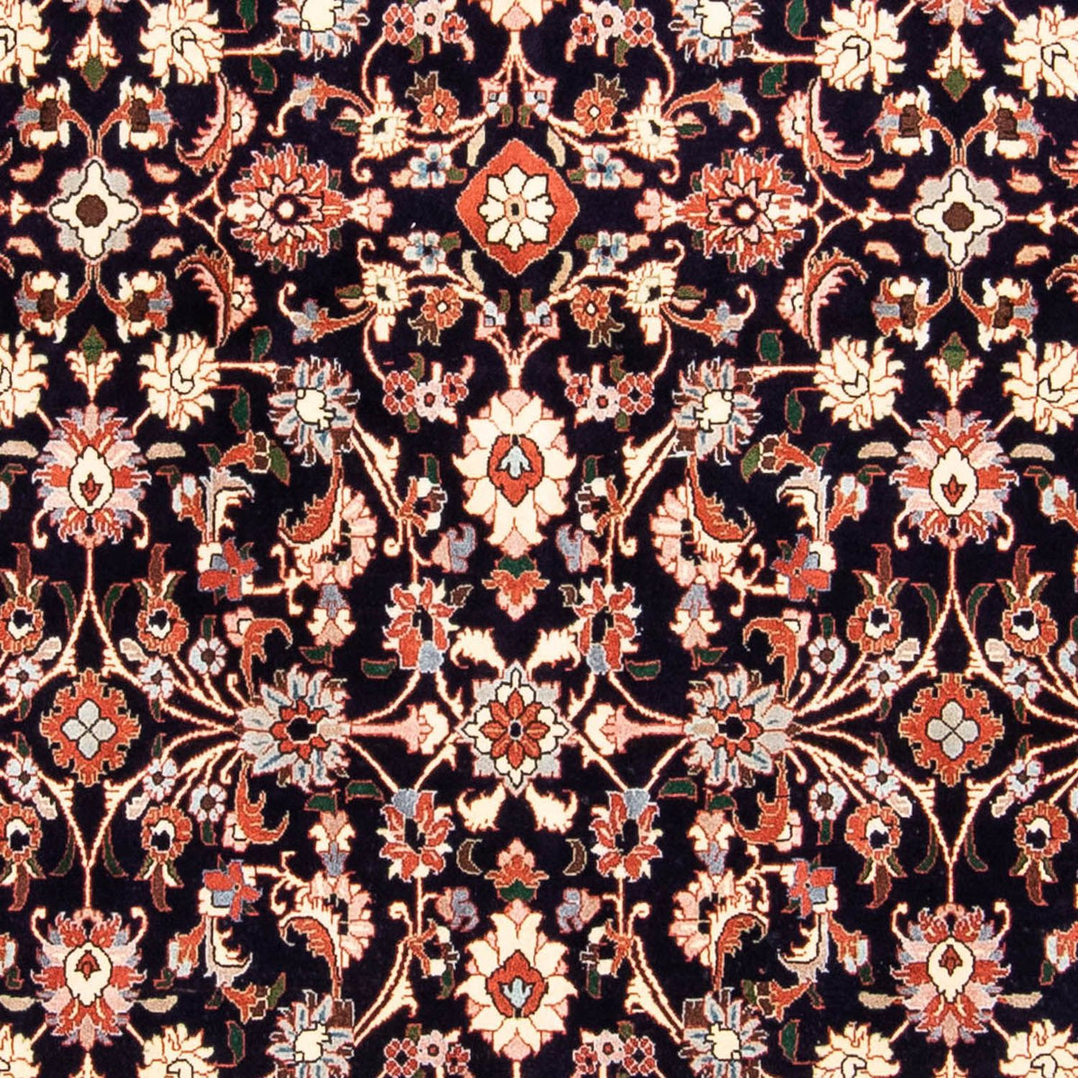 Perserteppich - Bidjar 245 x 151 cm