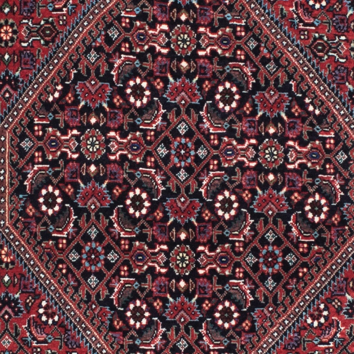 Perserteppich - Bidjar - Royal 211 x 77 cm