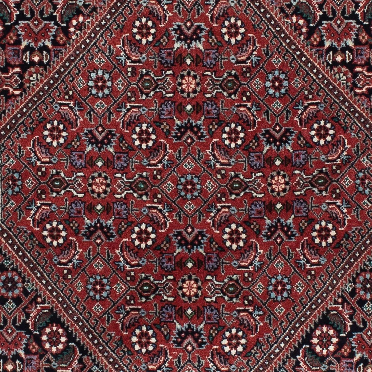 Perserteppich - Bidjar - Royal 217 x 73 cm