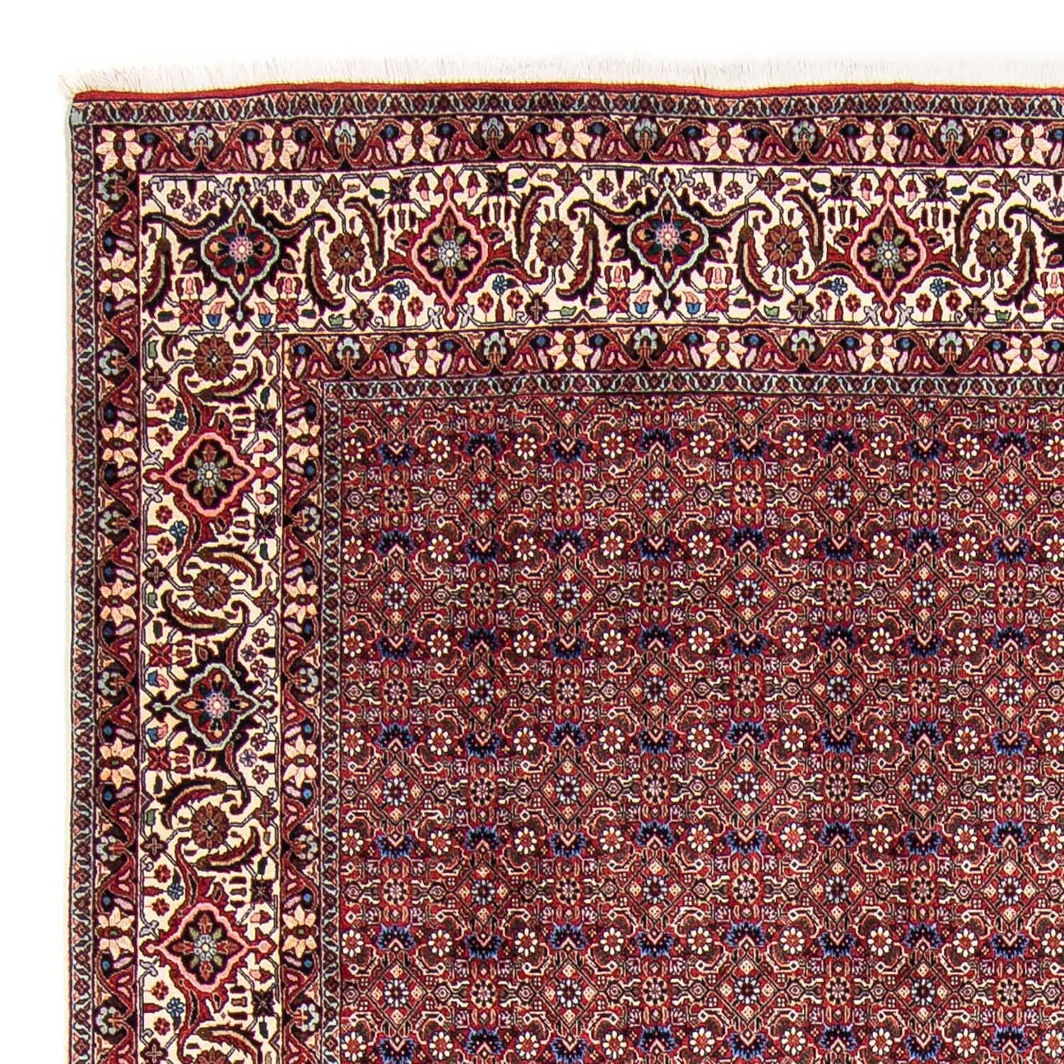 Perserteppich - Bidjar 292 x 250 cm