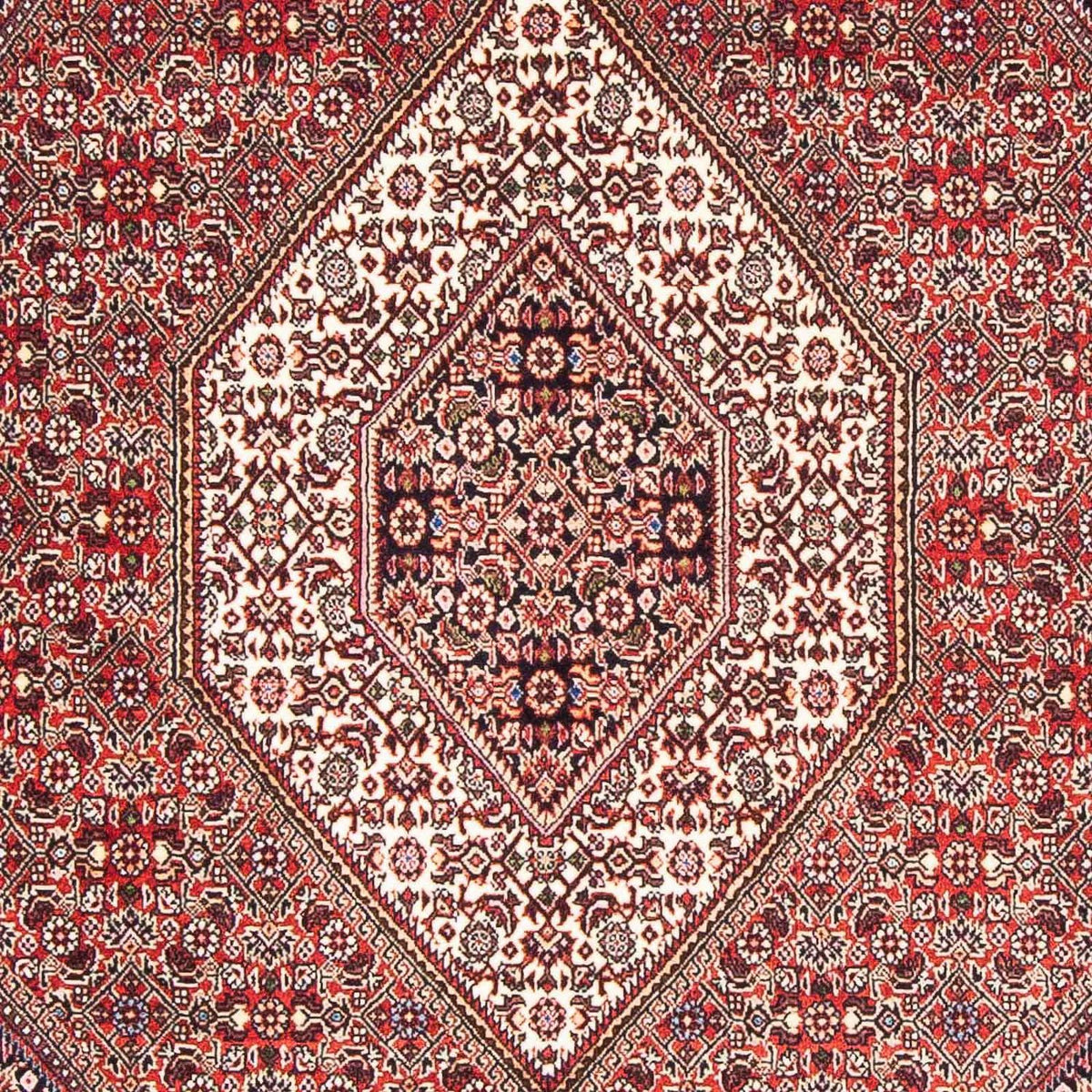 Perserteppich - Bidjar - Royal 176 x 110 cm - hellrot