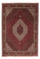 Perserteppich - Bidjar 251 x 176 cm